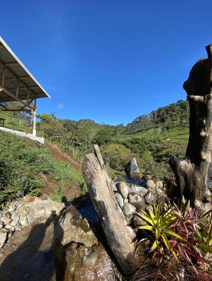 Arte De Plumas Birding Lodge Картаго Екстер'єр фото